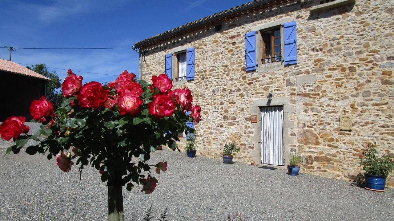 Gites & Chambres D'Hotes Peyrecout Laparrouquial Exterior photo